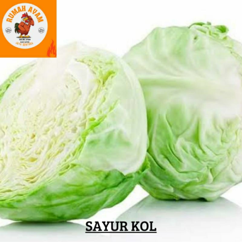 

SAYUR KOL 1KG - 250G - SEGAR