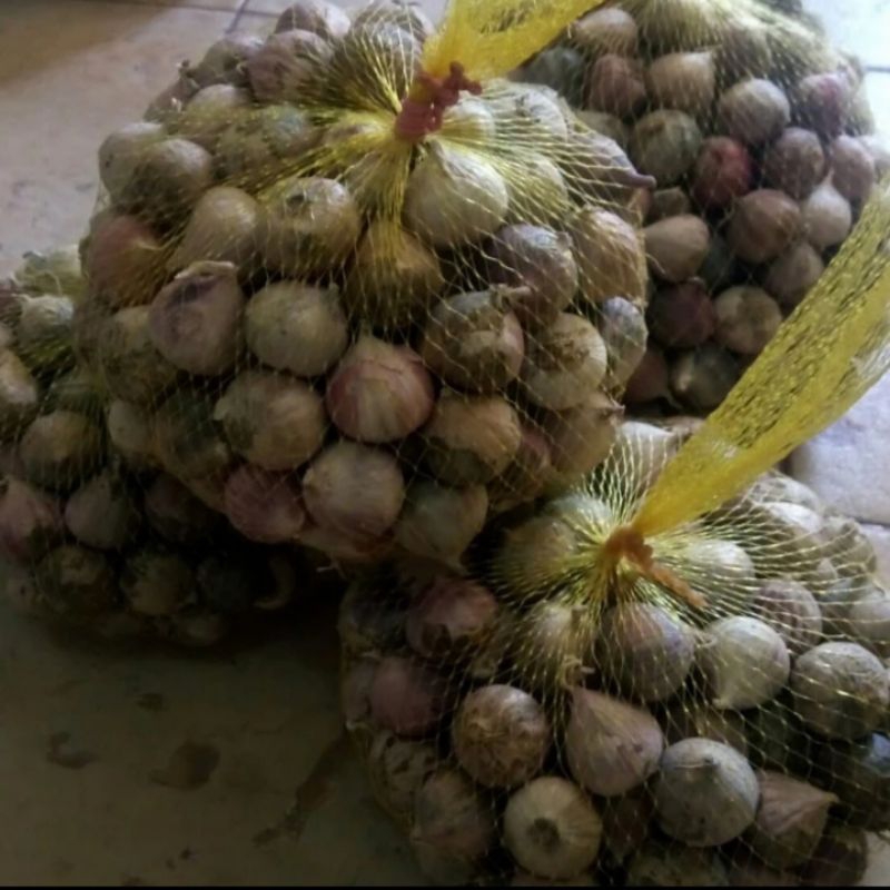 

Bawang tunggal kemasan 250 gram (kecil)