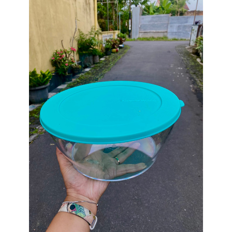 PROMO Tupperware Tempat sayur
