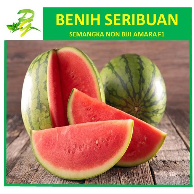Benih Seribuan Semangka Non Biji Amara F1