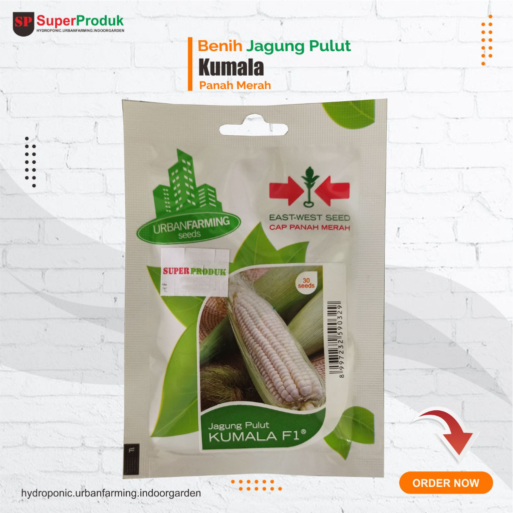 Benih Jagung Pulut Kumala F1 Jagung Manis Panah merah