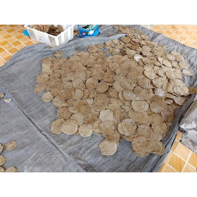 

KEMPLANG MENTAH ASLI PALEMBANG ISI (100pcs) dijamin enak