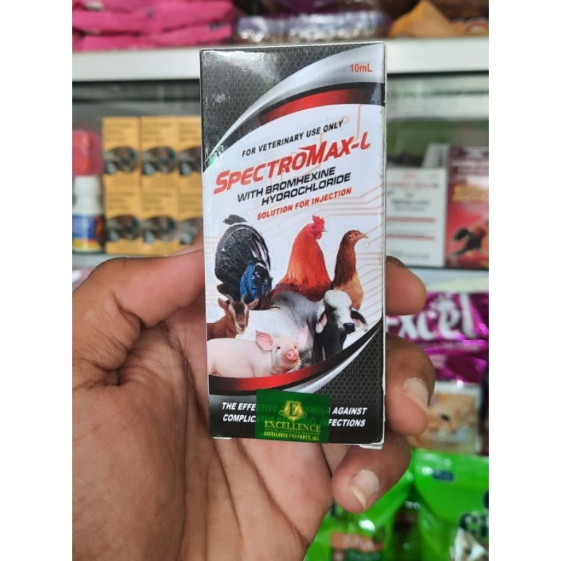 L-Spec 10 ML Obat Anti Bakteri Anti Infeksi