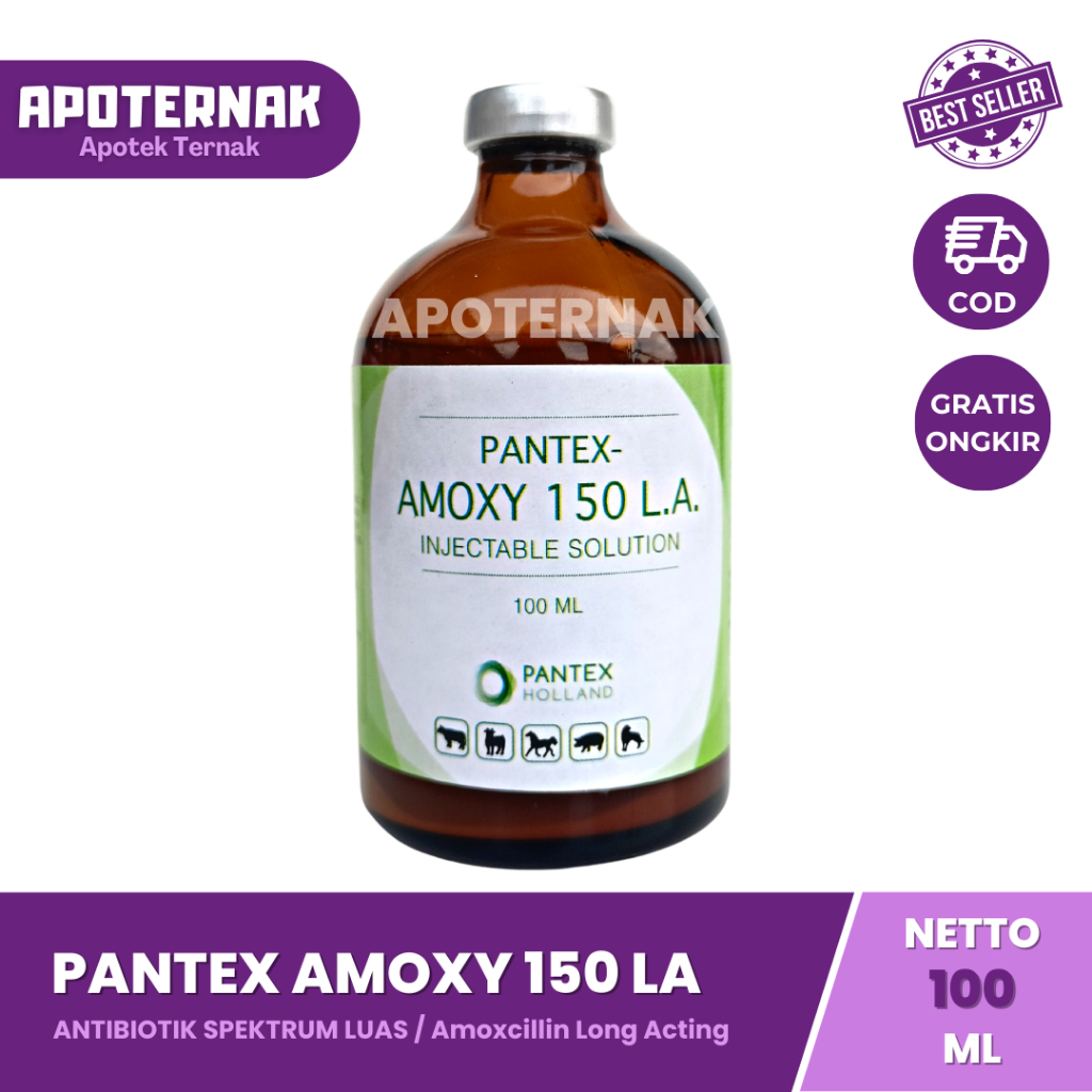 PANTEX AMOXY 150 LA | Obat Infeksi Hewan Long Acting | Like SK Amox LA Longamox Betamox Intramox | Pantex Holland | Apoternak