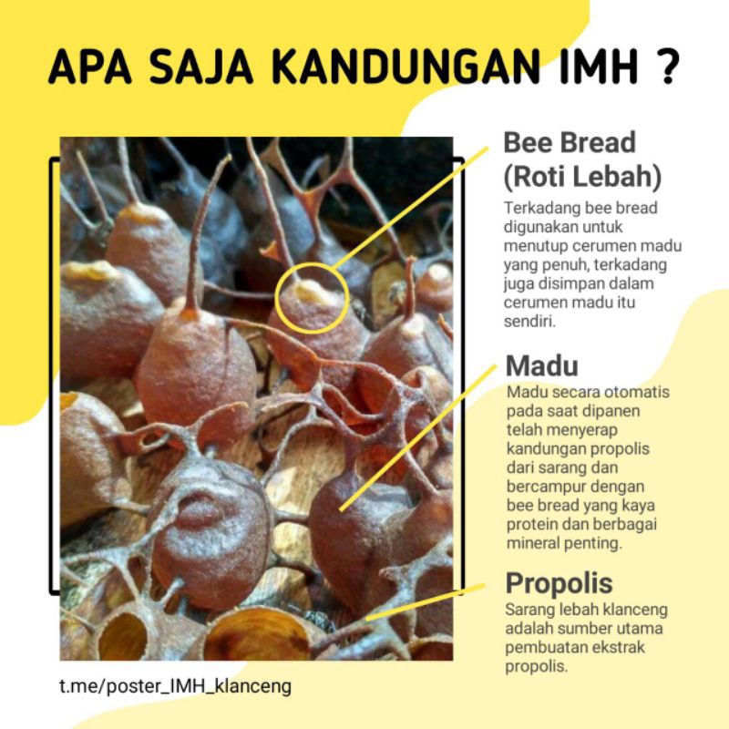 

madu klanceng / trigona / kelulut IMH kemasan 163 gram