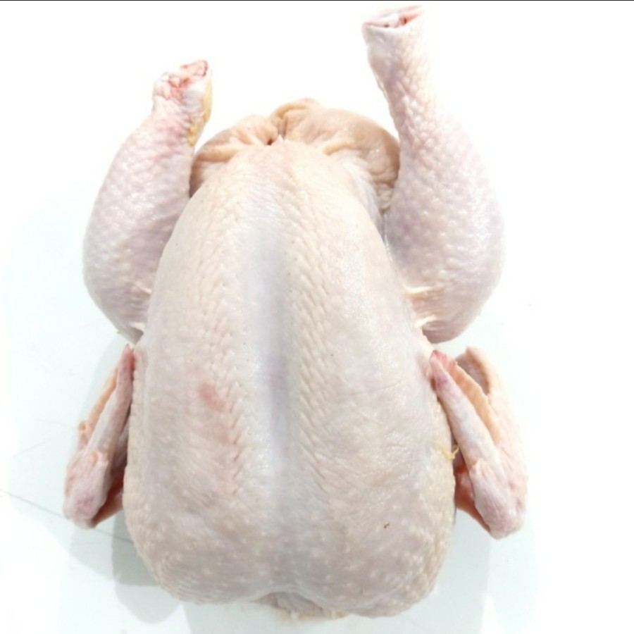 Ayam Karkas Pecel Kecil 600gr - 700gr
