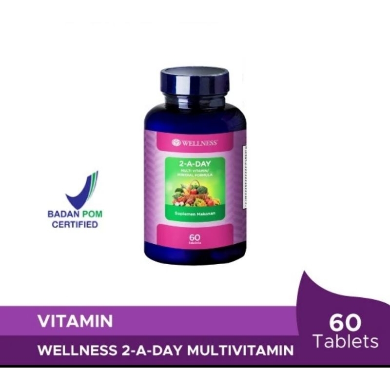 WELLNESS 2 A DAY 60 multi vitamin multi mineral