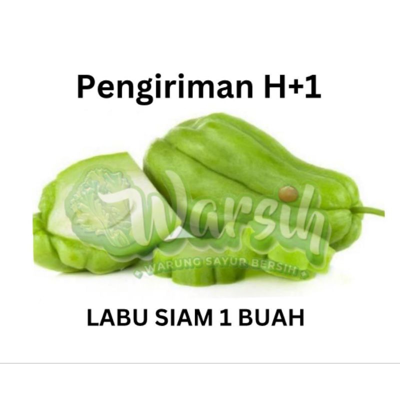 

WARSIH • LABU SIAM 1 BUAH / IRIS