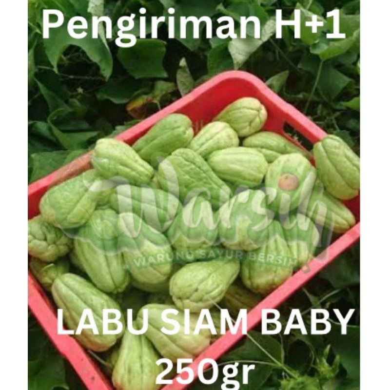 

WARSIH • LABU SIAM BABY 250GR