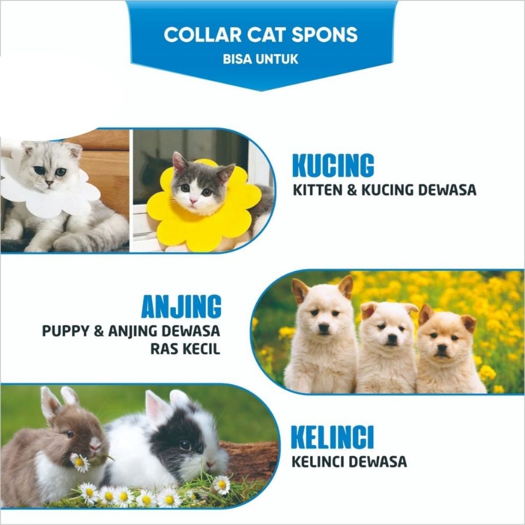 Pet Collar Bunga Collar Kucing Flower Corong Spon Collar Sponge FEFARM