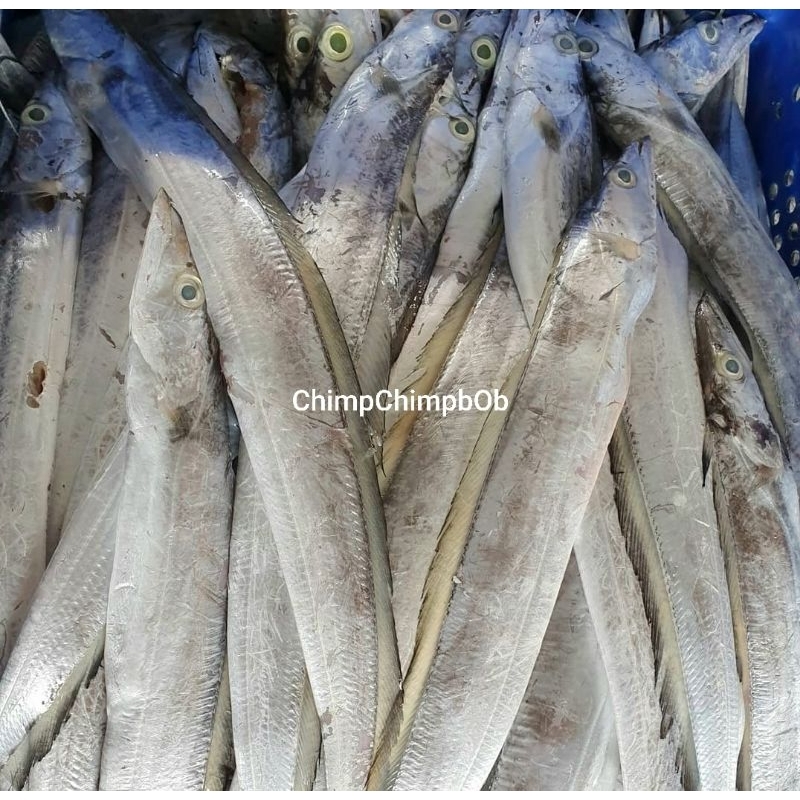 

IKAN LAYUR SEGAR 500 GRAM