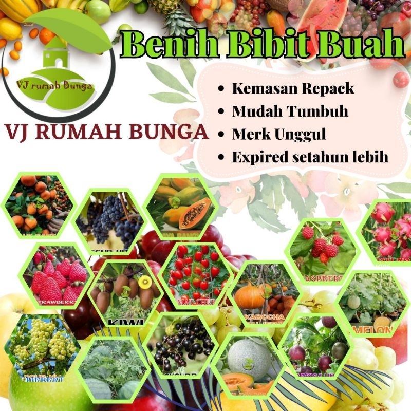 Benih Buah Buahan Unggul Mudah Tumbuh