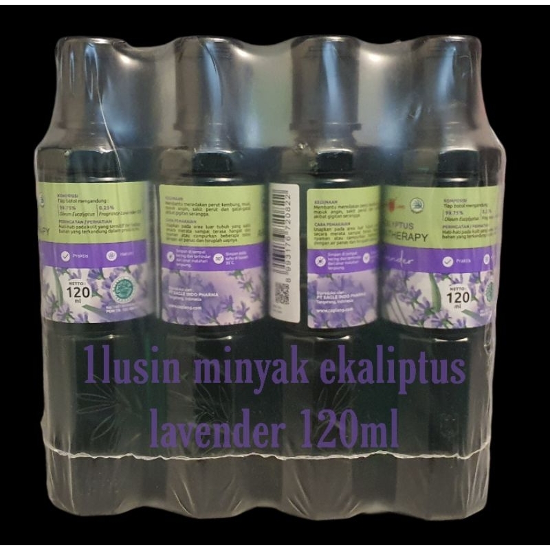 1lusin minyak kayu putih ekaliptus lavender 120ml