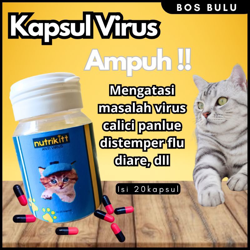 nutrikitt obat kapsul virus calici panlue distemper flu batuk pilek diare muntah kucing 20kapsul