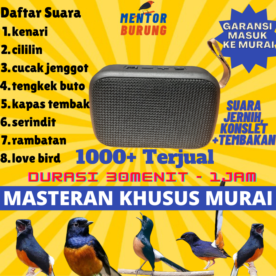 Masteran Mp3 Khusus Burung Murai Batu Air Betina Pikatan Borneo Hutan Trotolan Burung Kicau Suara Jernih Dengan Suara Air Speaker Burung Murai Gacor Murah Berkualitas