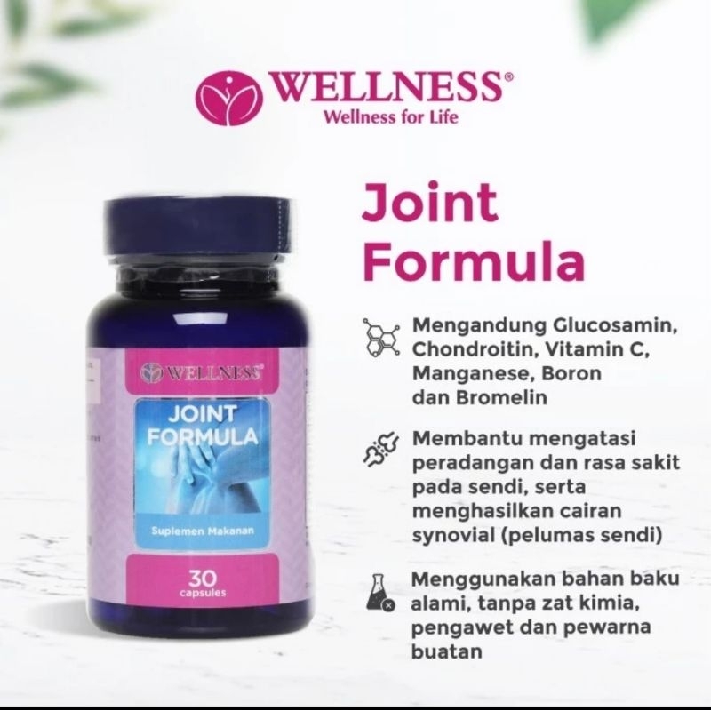 WELLNESS joint formula 30 suplemen glucosamine sulfat chondroitin