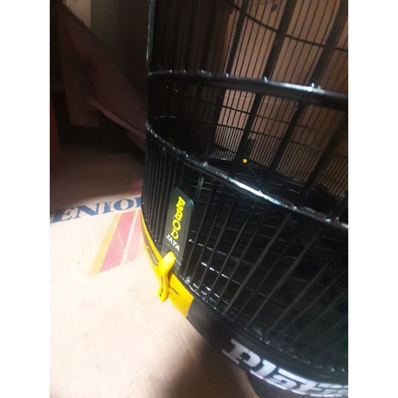 sangkar murai ebod apbn hitam glos