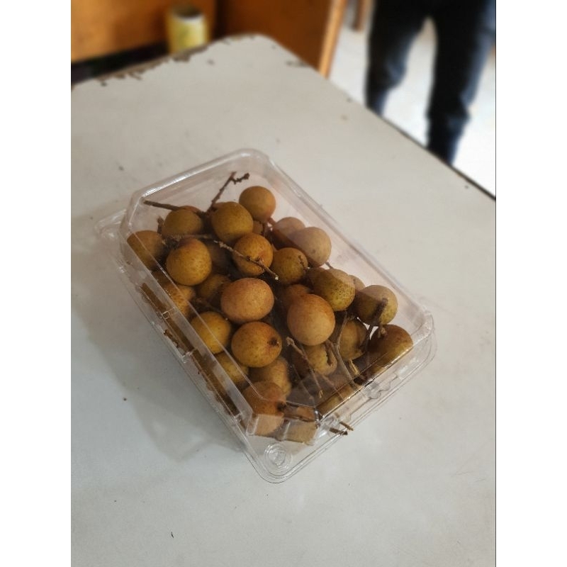 

BUAH KELENGKENG MANIS 1KG PACK