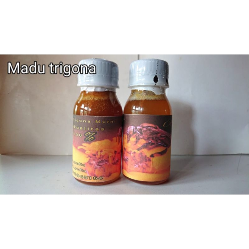 

Madu kelanceng 100% murni//Lebah madu trigona//Madu tawon kelanceng