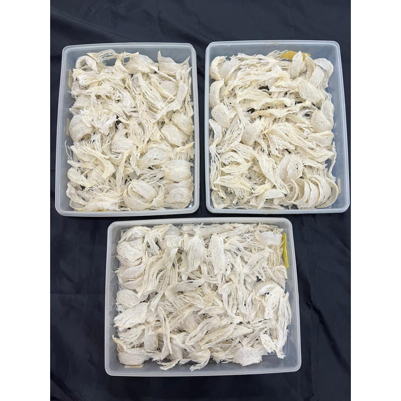 Sarang burung walet bersih