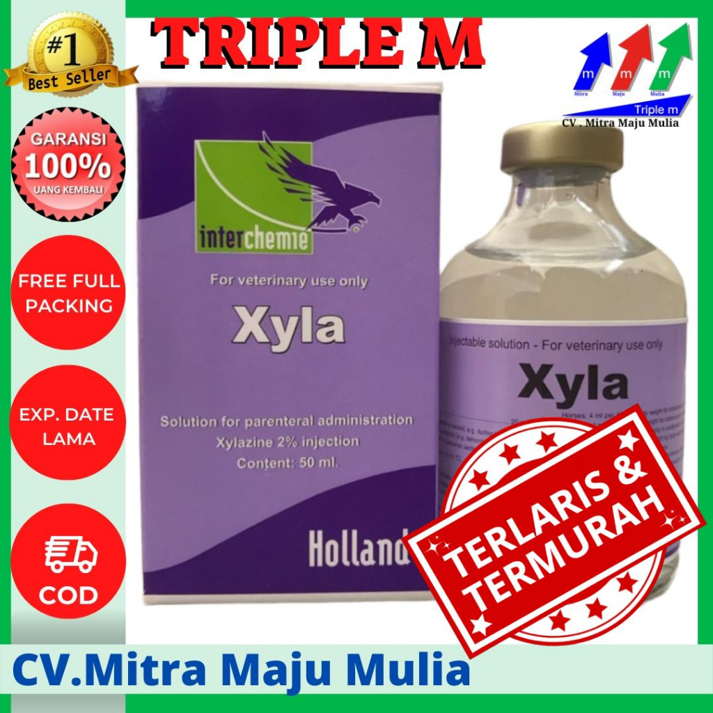 Xyla 50 ml ORIGINAL