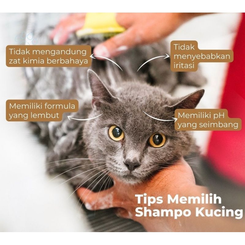 SAMPO KUCING ANJING KELINCI 100ml ANTI KUTU &amp; JAMUR || PET SHAMPOO GROOMING