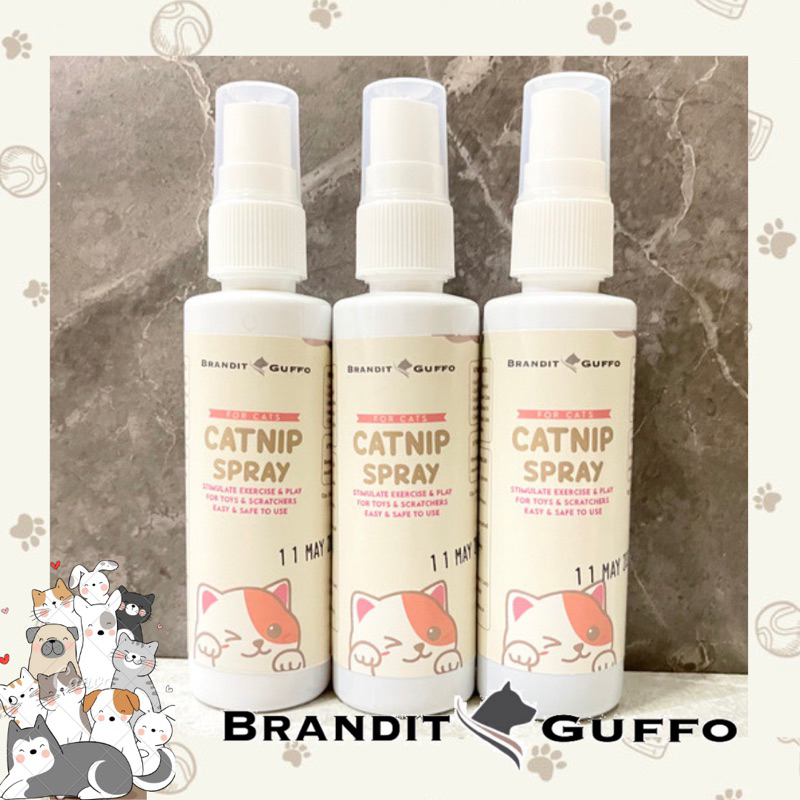 catnip spray kucing anti stress semprot cair cat mint cat mainan alami