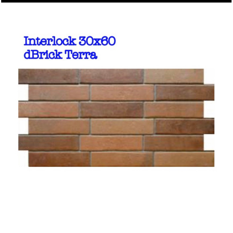 Roman Keramik Interlock dBrick Terra size 30x60
