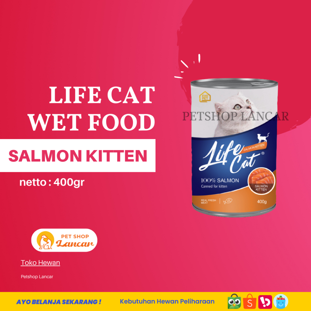 Life Cat Kaleng 400GR Makanan Kucing Kaleng Life Cat SALMON KITTEN