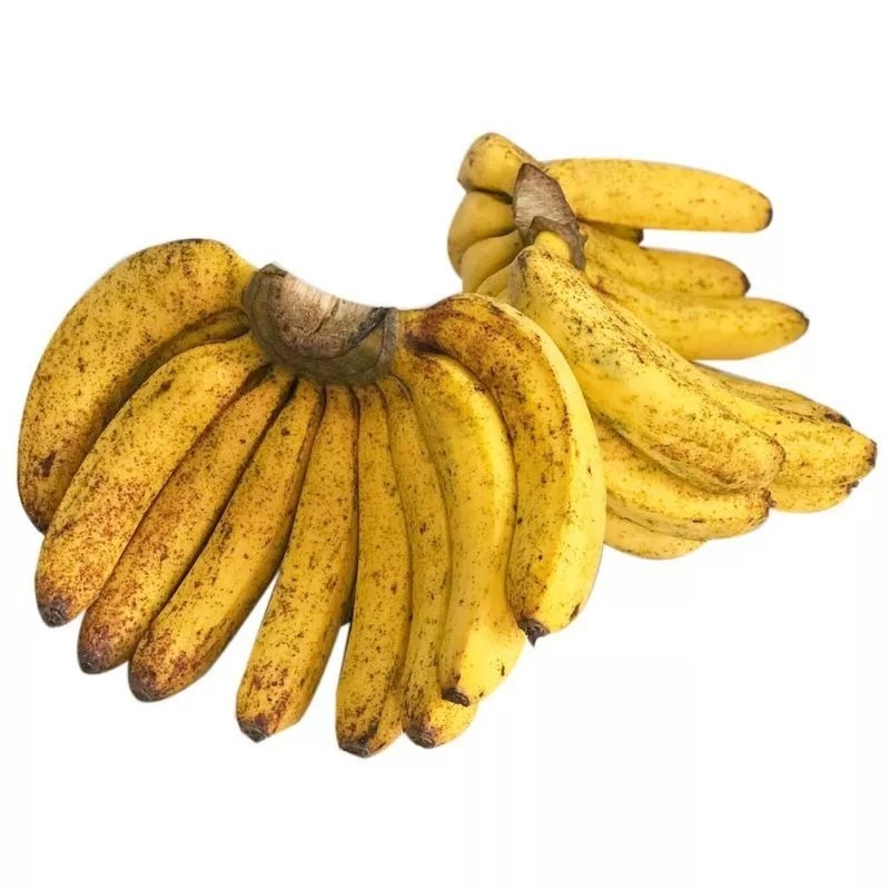 

Pisang Barangan 1 Sisir