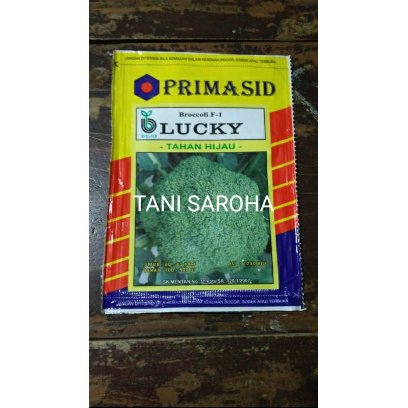 Benih Brokoli LUCKY Bejo 1250 butir