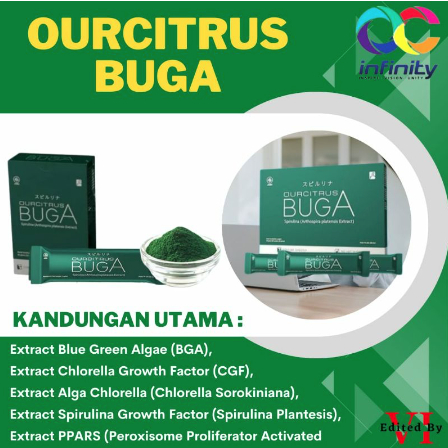 Buga Ourcitrus Herbal Detoksifikasi Tubuh Buang Racun Tubuh BPOM