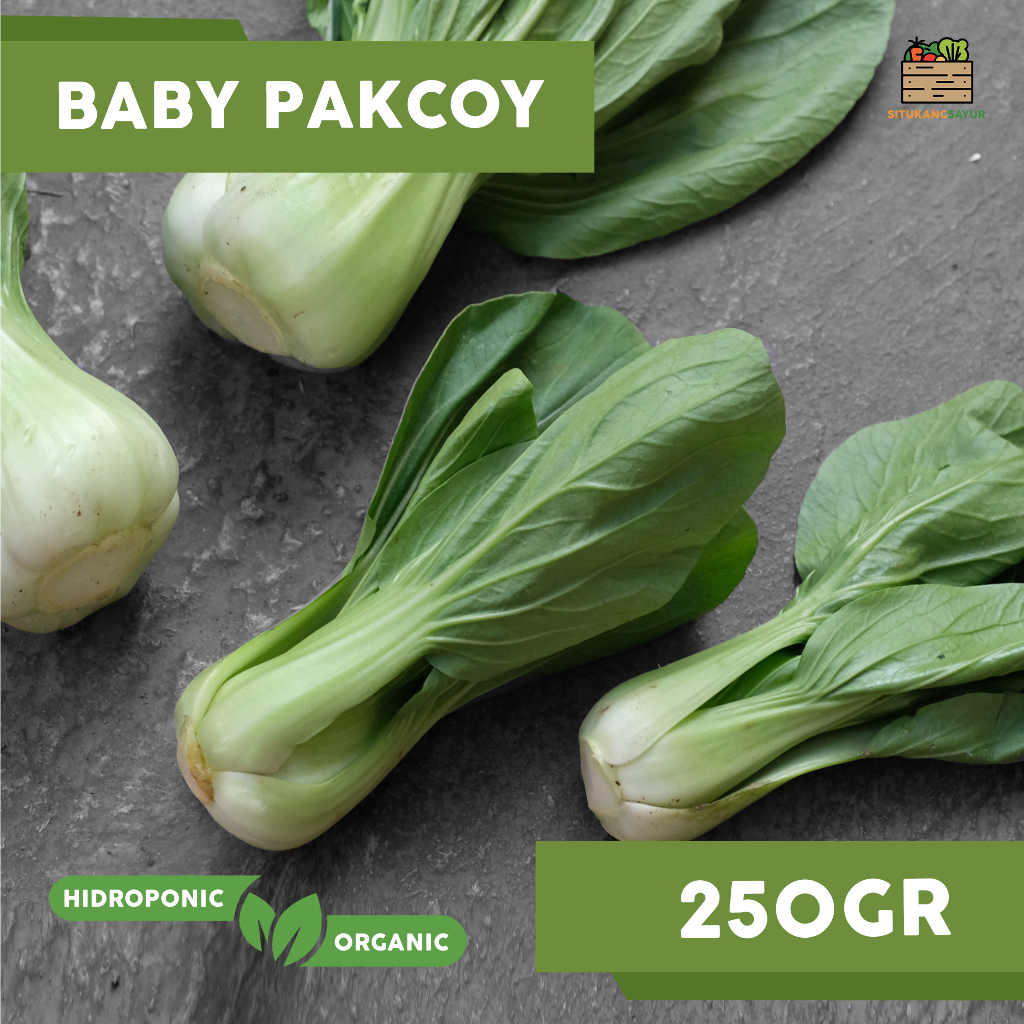 

Sayur Baby Pakcoy Organik | ±250gr (Kota Bandung & Sekitar)