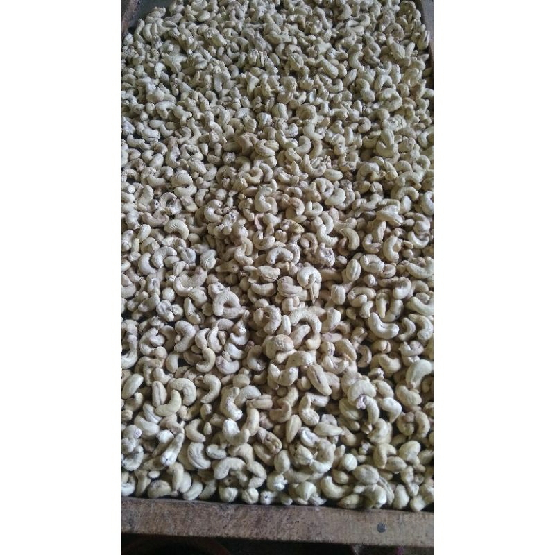 

kacang Mede kering mentah 1kg asli Wonogiri