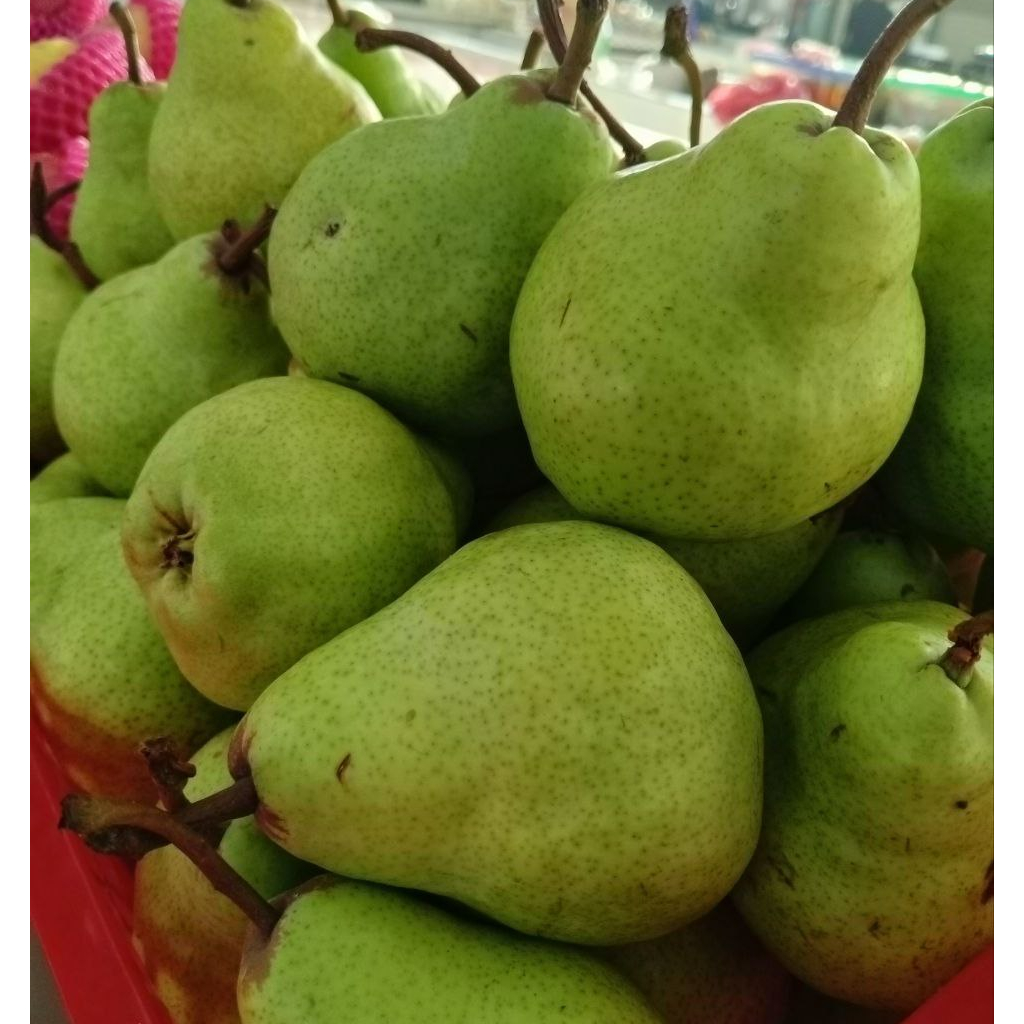 

Pear Packham Import | Pir Pakam Hijau / Pear Hijau Jambu Manis 0,9 - 1 kg