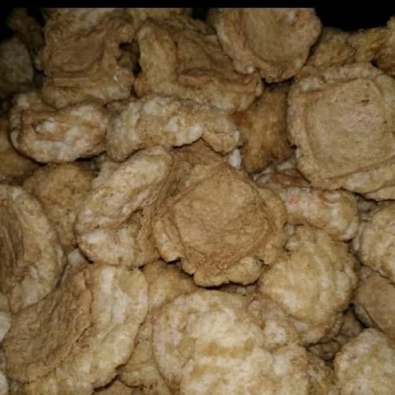 

PAKETAN CUANKI LUGINA 300 PCS DAN TAHU GEPENG 300 PCS