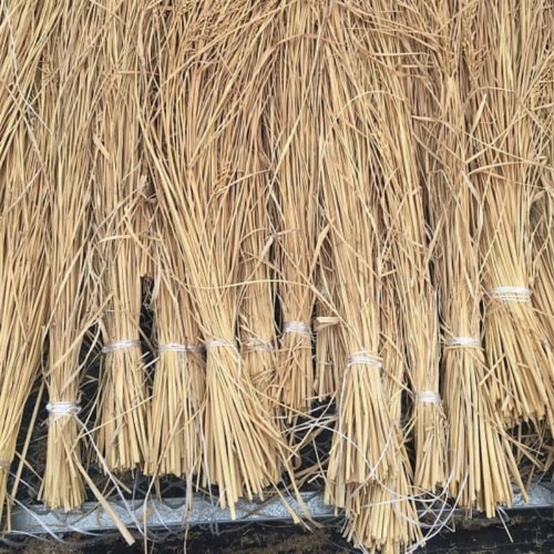 jerami padi kering 1 kg