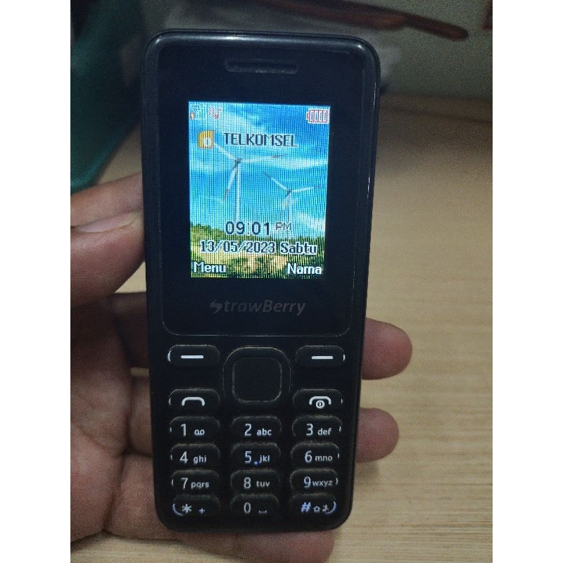 strawberry st22 st 22