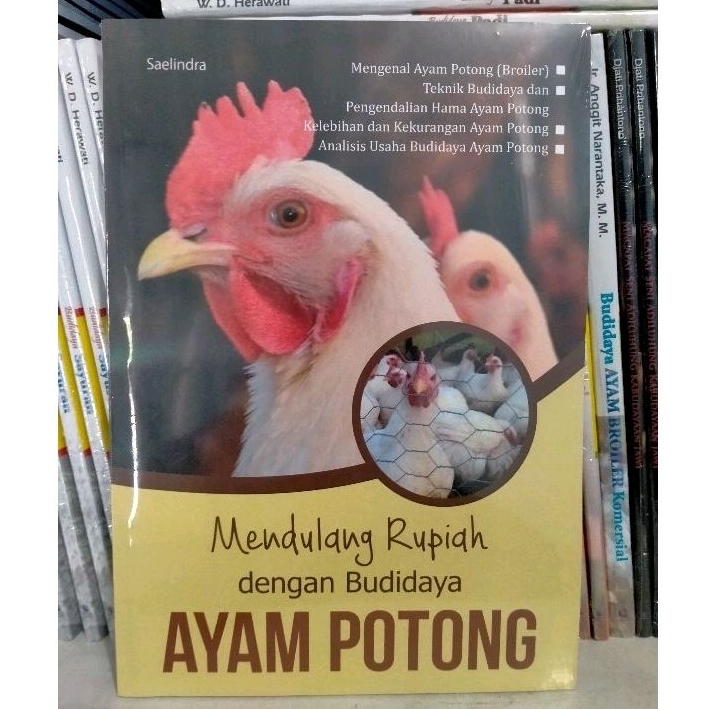 Mendulang Rupiah Dengan Budidaya Ayam Potong - Saelindra