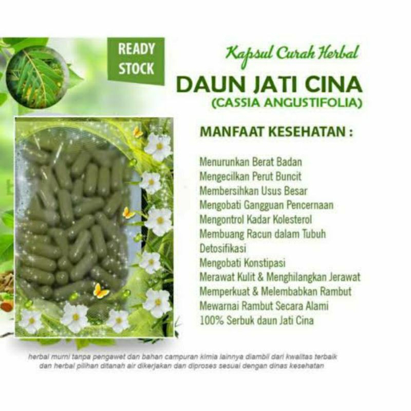 

100 Kapsul Daun Jati Cina Asli Original tanpa tambahan apapun Halal