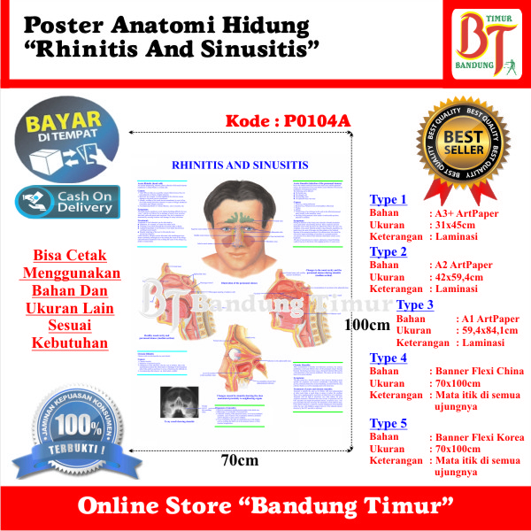 POSTER ANATOMI HIDUNG - RHINITIS AND SINUSITIS