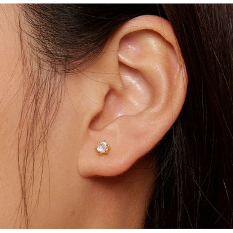(2pcs) Anting korea rose titanium untuk wanita