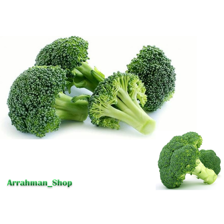 

Brokoli - Sayur Brokoli Hijau Segar urah Berkualitas Super