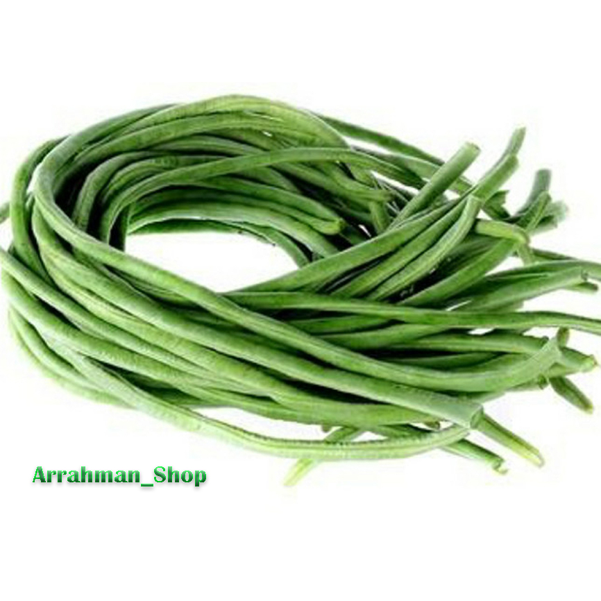 

Kacang Panjang Fresh - Sayuran Kacang Panjang Siap Masak Segar