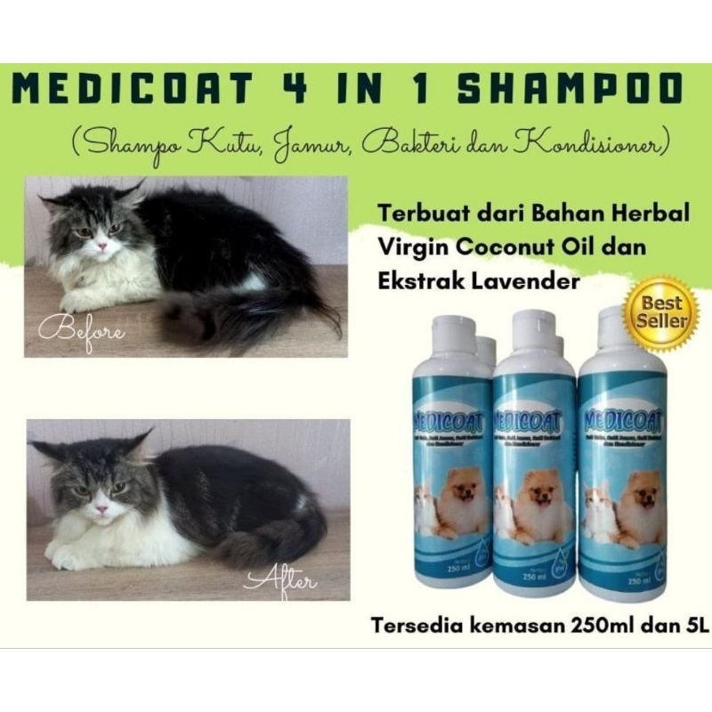 MEDICOAT Shampoo kucing 4in1 shampo kutu kucing shampo jamur