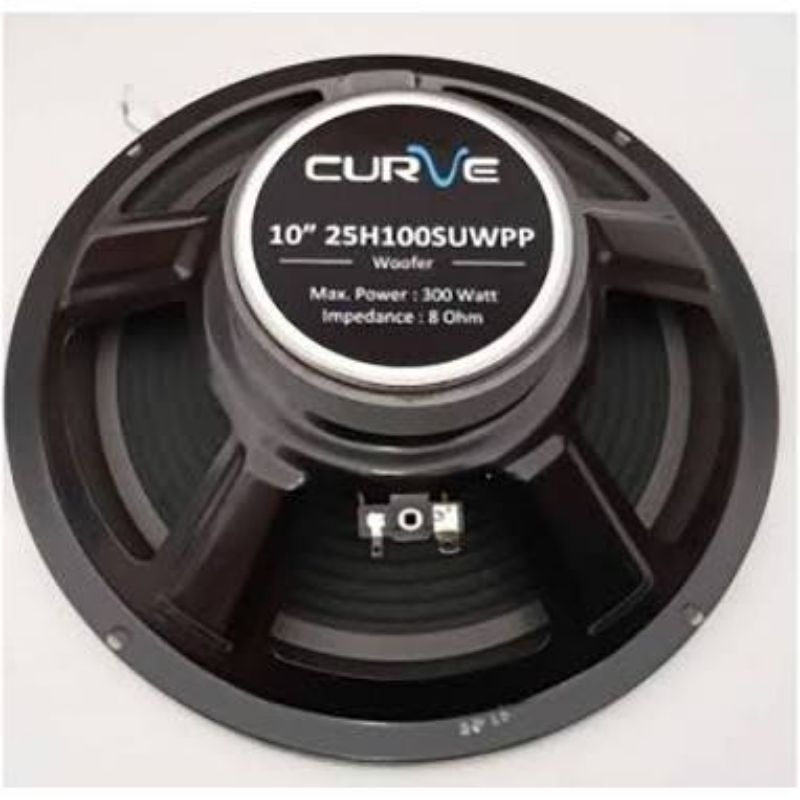speaker curve 10inch