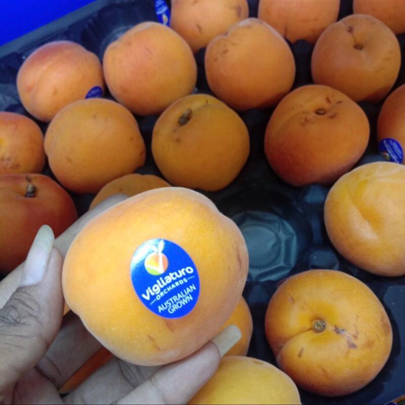

Buah Apricot Import Berat -+ 450 grm / pack