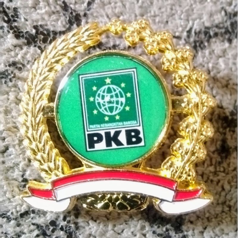 PIN PARTAI PKB