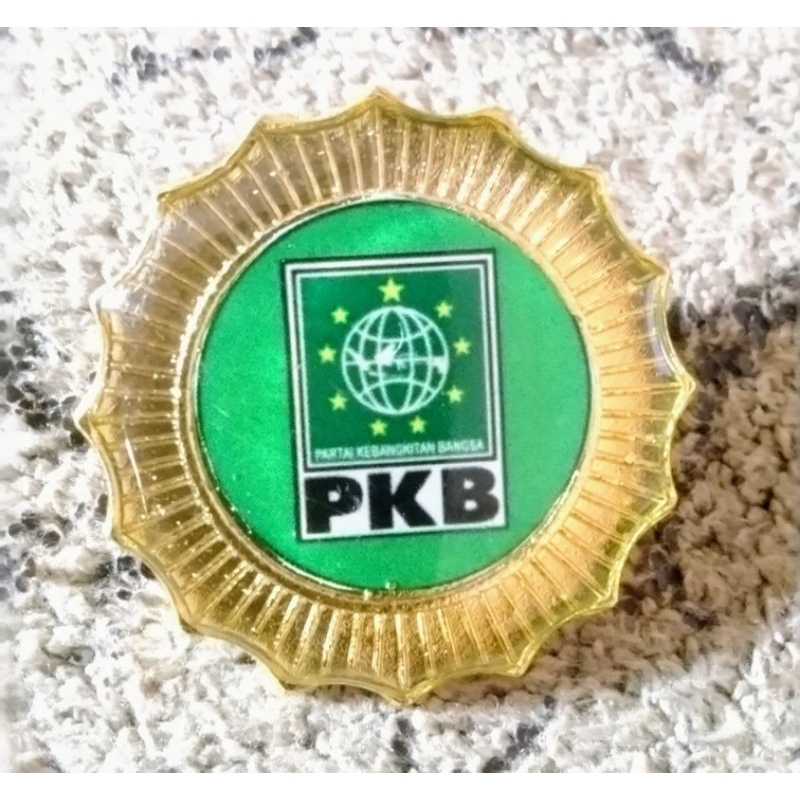 PIN PARTAI PKB