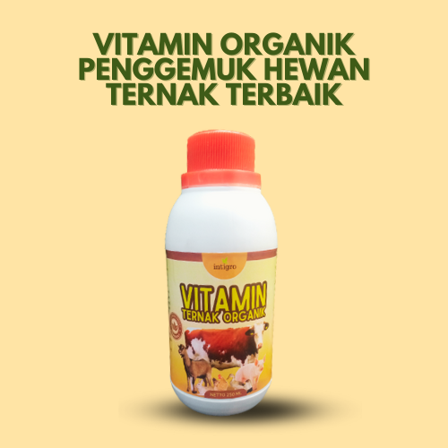 Nutrisi Penggemuk Hewan Ternak Sapi Babi Kambing Ayam Broiler Vitamin Ayam Kampung Puyuh Bebek Petel